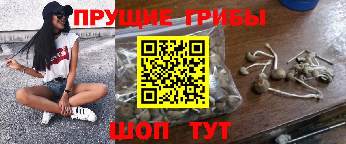 Галлюциногенные грибы ЛСД Горно-Алтайск