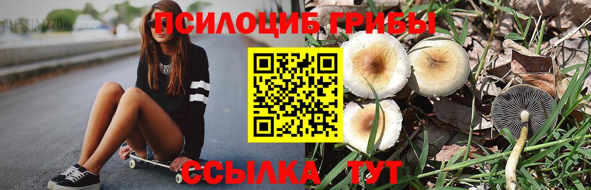даркнет сайт  Вход с VPN  Горно-Алтайск  Псилоцибиновые грибы прущие грибы 